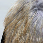 Il Fuoco — Amber Fox Aviator