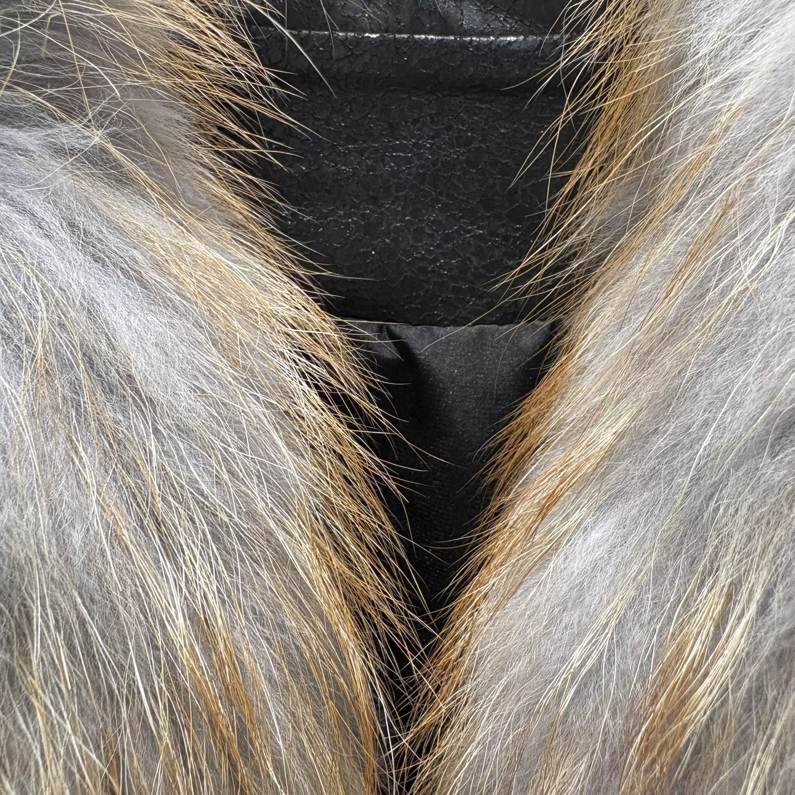 Il Fuoco — Amber Fox Aviator