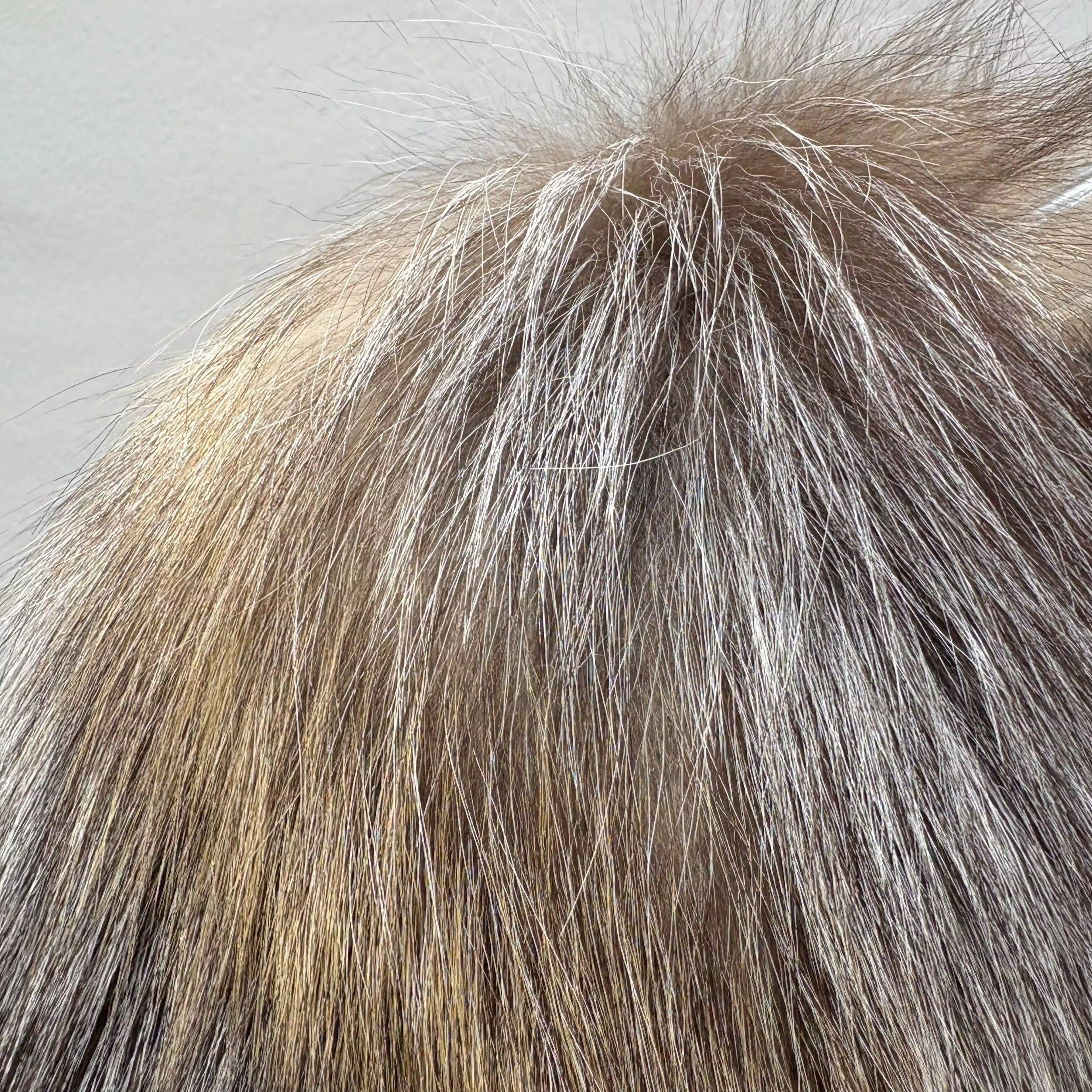 Il Vento — Silver Shadow Fox Jacket