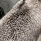 Il Nobile — Silver Fox Cropped Luxury Jacket